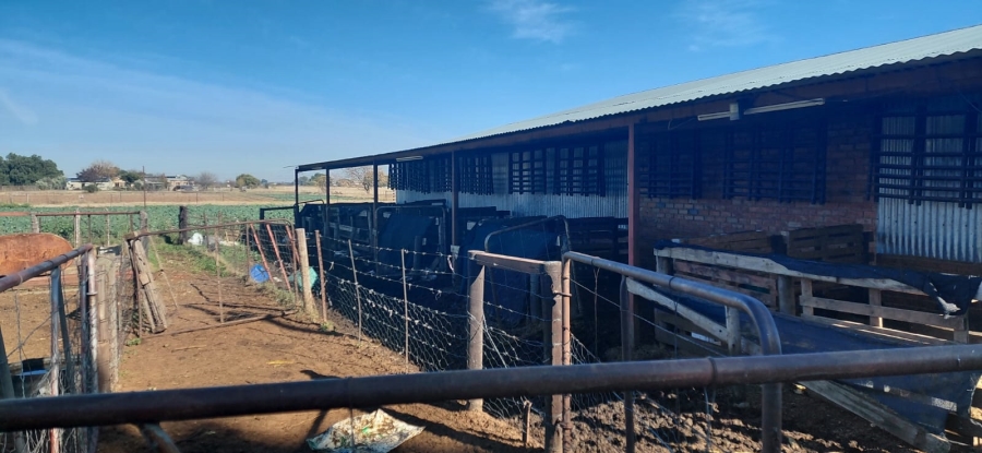 4 Bedroom Property for Sale in Bainsvlei Free State